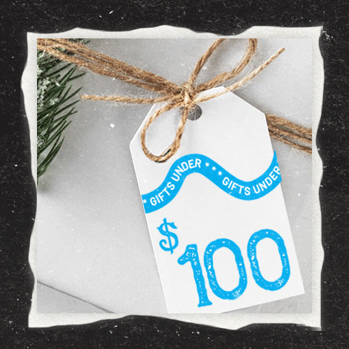 Gifts under $100