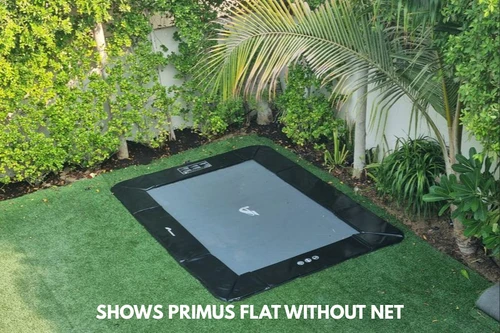 Akrobat Primus Flat in garden
