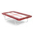 Super Kangaroo Trampoline red pads customised bed