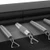 10ft Gallus Plus trampoline springs