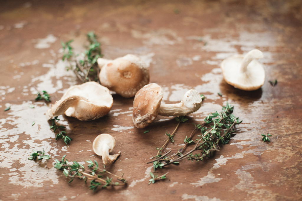 6 Powerful Health Benefits of Shiitake Mushrooms