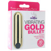 Pink Pussycat Rechargeable Gold Bullet Vibrator at Bed Time Toys