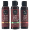 Hemp Seed Massage Oil Gift Set in 3 x 2oz at Bed Time Toys
