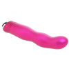 Body & Soul Attraction Vibrator in Pink at Bed Time Toys