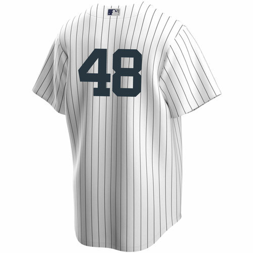Anthony Rizzo Youth No Name Jersey - NY Yankees Number Only Replica Kids Jersey - back