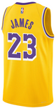 Lebron James Youth Jersey - Yellow Los Angeles Lakers Swingman Kids Icon Edition Jersey - back