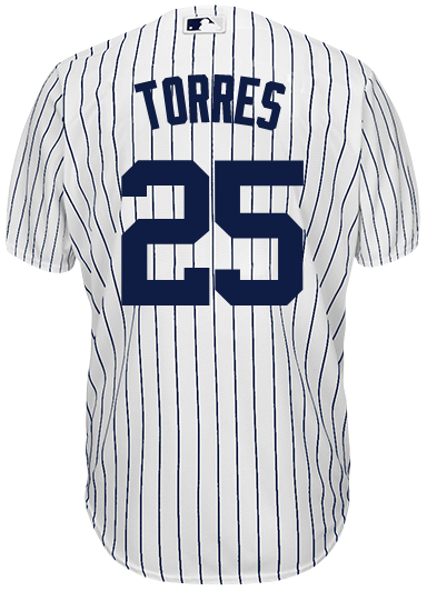 Radtke Sports 10605 Gleyber Torres Signed York Framed Pinstripe Jersey - Large