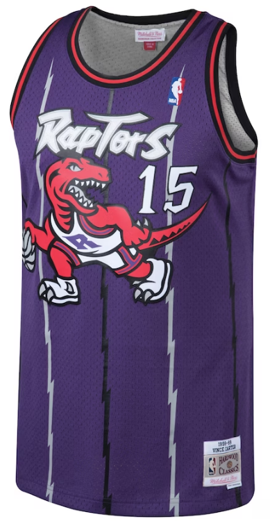 Vince Carter Jersey - Purple Toronto Raptors Swingman Adult