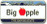 Big Apple License Plate Magnet photo