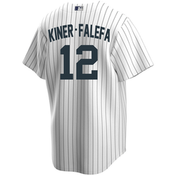 Fanmade New York Yankees #9 Isiah Kiner-Falefa White 3D Print Baseball Shirt