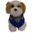 NYPD Blue Dog Bandana photo