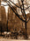 Carriage in Central Park Photo Magnet photo