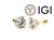  Diamond Stud Earrings 3 Carat F VS2 Round Ideal IGI Certified 3ct Martini Screwback 14K Yellow Gold 