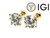  Diamond Stud Earrings IGI Certified 2.20 Carat Lab Grown D VS1 Ideal 2ct 4 Prong Screwback 14K Yellow Gold 