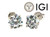  Diamond Stud Earrings Solitaire 3.28 Carat F VS2 Ideal Cut Lab Grown IGI Certified 3ct 4 Prong 14K White Gold 