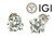 Diamond Stud Earrings 3 Carat D VS1 Round Ideal IGI Certified 3ct 4 Prong 14K White Gold