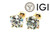  Diamond Stud Earrings 2.10 Carat D VS1 IGI Certified Lab Created Ideal 2ct 4 Prong Screwback 14K Yellow Gold 