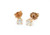 Diamond Stud Earrings 1/3ct Mined 4 Prong 14K Yellow Gold Pushback