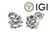  Diamond Stud Earrings 2 Carat D VS2 Certified Lab Created IGI Ideal 2ct 4 Prong 14K White Gold 