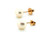 Button Pearl Stud Earrings 6.5mm Yellow Gold