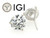 Diamond Stud Earrings 2 Carat D VS1 IGI Certified Lab Grown Ideal 2ct Martini 14K White Gold