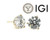  Diamond Stud Earrings 2 Carat D VS1 IGI Certified Lab Grown Ideal 2ct Martini 14K Yellow Gold 