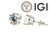 Diamond Stud Earrings 2 Carat D VS1 IGI Certified Lab Grown Ideal 2ct 4 Prong Screwback 14K White Gold