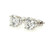  Diamond Stud Earrings 2 Carat D VS1 IGI Certified Lab Grown Ideal 2ct 4 Prong Screwback 14K White Gold 