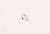 Mined Marquise Cut Loose Diamond 1/3 Carat .32ct D-E VVS2