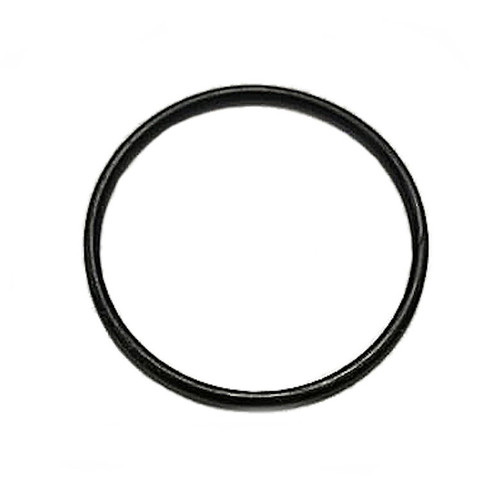 Smoke Infuser - Rubber  Gasket_990375100