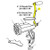 Grinder #10 Manual - Handle_36-1009