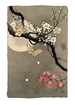 Bug Art Cards