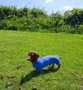 Equafleece Summer Suit