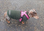 flyball, agility, walking and dog training harness