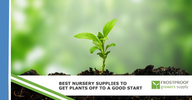 ​Best Nursery Supplies To Get Plants Off To A Good Start ​Best Nursery Supplies To Get Plants Off To A Good Start