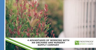 ​4 Advantages of Working With An Orchard and Nursery Supply Company ​4 Advantages of Working With An Orchard and Nursery Supply Company
