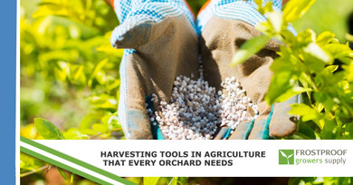 ​Harvesting Tools In Agriculture That Every Orchard Needs ​Harvesting Tools In Agriculture That Every Orchard Needs