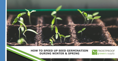 ​How to Speed Up Seed Germination During Winter and Spring ​How to Speed Up Seed Germination During Winter and Spring