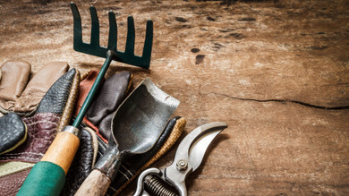 Specialty Gardening Tools to Try Specialty Gardening Tools to Try