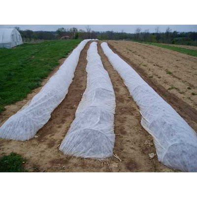 DeWitt N-Sulate Frost Protection Blanket – 10ft X 250ft, 1.5 Oz Freeze Cloth, Polypropylene, NS10250