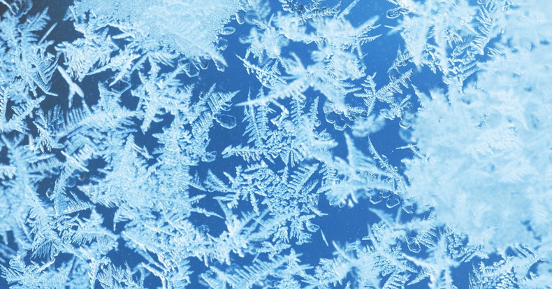 Protecting Your Plants From Frost