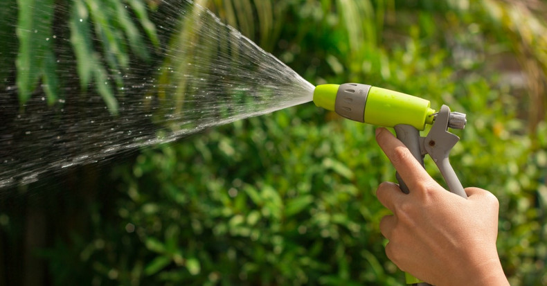 Five Common Gardening Mistakes You Didn’t Realize You Were Making