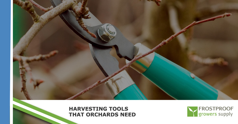 ​Harvesting Tools That Orchards Need