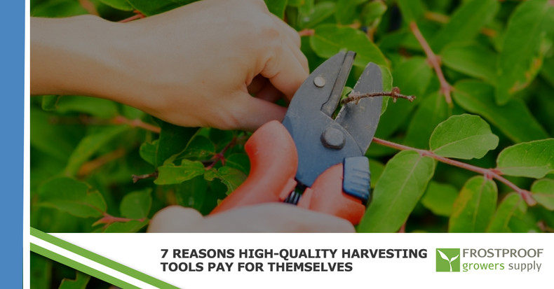 ​7 Reasons High-Quality Harvesting Tools Pay For Themselves