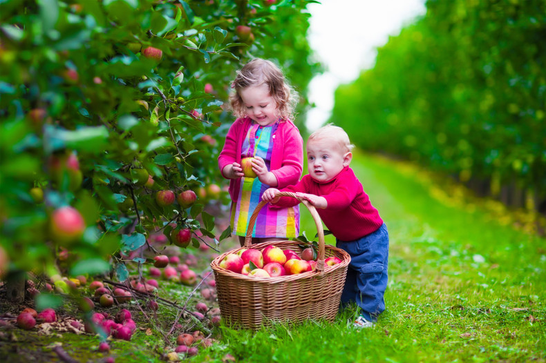 Why You Should Get Your Kids Involved in Gardening
