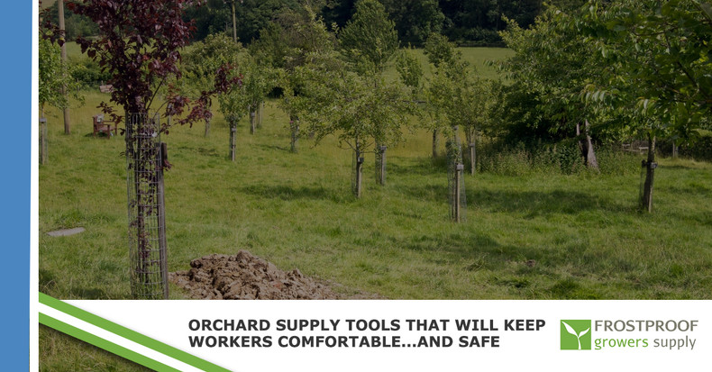 ​Orchard Supply Tools That Will Keep Workers Comfortable...And Safe