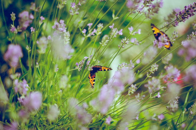 ​The Most Important Gardening Tools When The Sun Is Beating Down