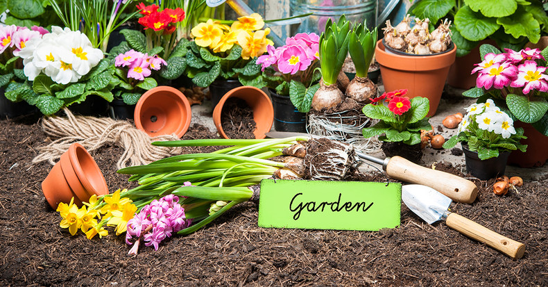 ​Spring Is Coming! Here Are Some Gardening Products You’ll Need
