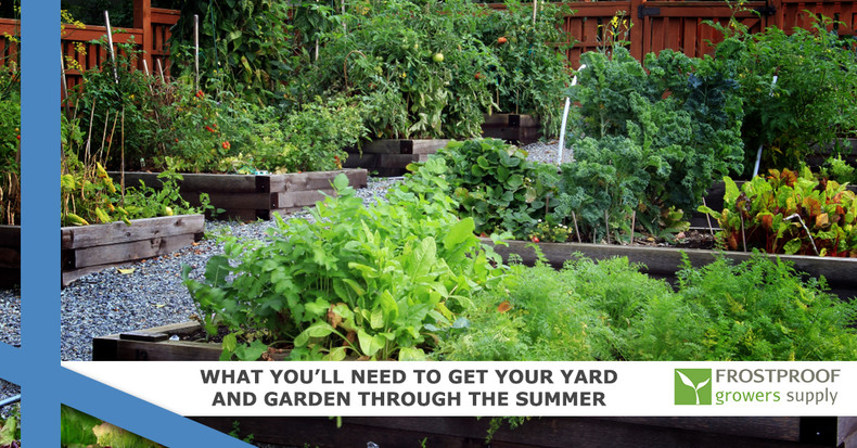 What You’ll Need To Get Your Yard and Garden Through the Summer