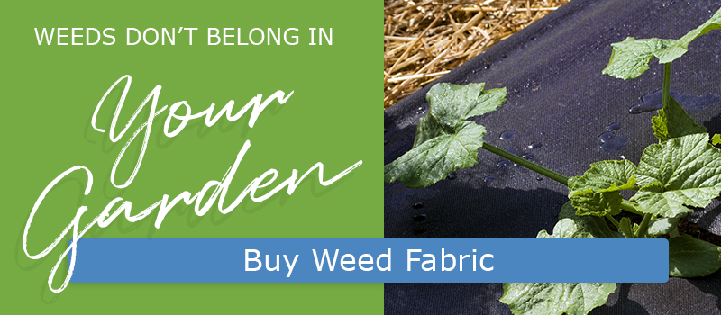 garden-weeds-cta.jpg
